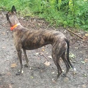 Meet your Posher, Sonja